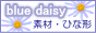 blue daisy *`fނ̃K[f`*